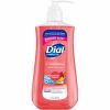 Dial Pomegranate Tangerine Antibacterial Hand Soap 1