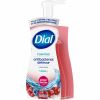 Dial Power Berries Foam Soap 4