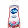 Dial Complete Power Berries Foam Soap 1