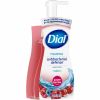 Dial Complete Power Berries Foam Soap 3