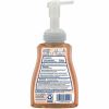 Dial Professional Antibacterial Defense Foaming Handwash 2