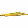Ticonderoga Beginners #2 Pencils 5