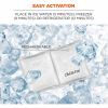 Ergodyne 6283 Rechargeable Ice Pack 2