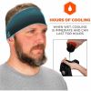 Ergodyne 6634 Cooling Headbands 2