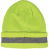 Ergodyne 6803 Reflective Winter Hats 2