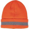 Ergodyne 6803 Reflective Winter Hats 2