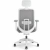 HON Altern Task Chair 5