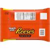 Reese's Peanut Butter Cups 2