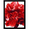 Lorell Wide Frame 2