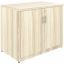 Lorell Storage Cabinet 1