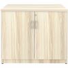 Lorell Storage Cabinet 2