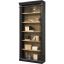 Martin Bookcase 1