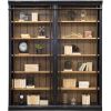 Martin Bookcase 5
