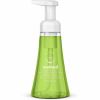 Method Green Tea + Aloe Foaming Hand Wash 1