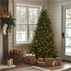 National Tree North Valley Spruce Christmas Tree - Green 2