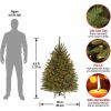 National Tree Dunhill Fir Christmas Tree - Green 6