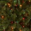 National Tree Dunhill Fir Christmas Tree - Green 5