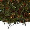 National Tree Dunhill Fir Christmas Tree - Green 6