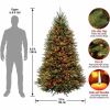 National Tree Dunhill Fir Christmas Tree - Green 9