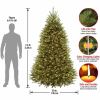 National Tree Dunhill Fir Christmas Tree - Green 7