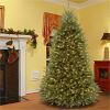 National Tree Dunhill Fir Christmas Tree - Green 9