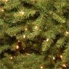 National Tree Dunhill Fir Christmas Tree - Green 10