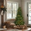 National Tree Christmas Tree - Green 2