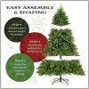 National Tree Christmas Tree - Green 5
