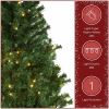 National Tree Christmas Tree - Green 6