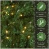 National Tree Christmas Tree - Green 8
