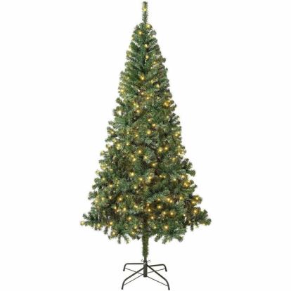 National Tree Christmas Tree - Green 1