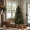 National Tree Acacia Christmas Tree - Green 2