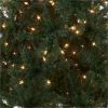 National Tree Acacia Christmas Tree - Green 3