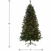 National Tree Acacia Christmas Tree - Green 6