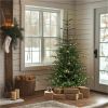 National Tree Christmas Tree - Green 2
