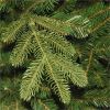 National Tree Christmas Tree - Green 3