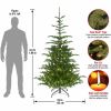National Tree Christmas Tree - Green 5