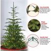 National Tree Christmas Tree - Green 6
