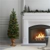 National Tree Christmas Tree - Green 4