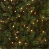 National Tree Downswept Douglas Fir Christmas Tree - Green 3