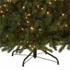 National Tree Downswept Douglas Fir Christmas Tree - Green 4