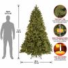 National Tree Downswept Douglas Fir Christmas Tree - Green 5
