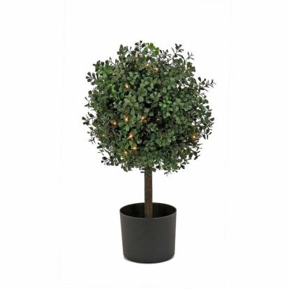 National Tree Boxwood Topiary Tree 1