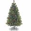 National Tree North Valley Spruce Christmas Tree - Green 1