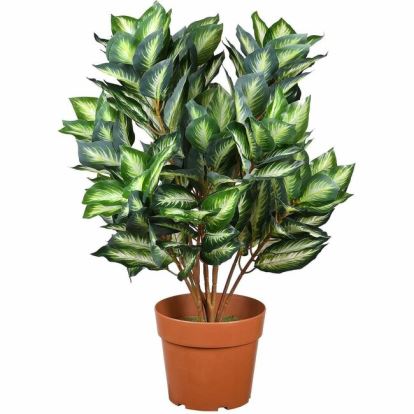 National Tree Hosta Topiary Plan 1