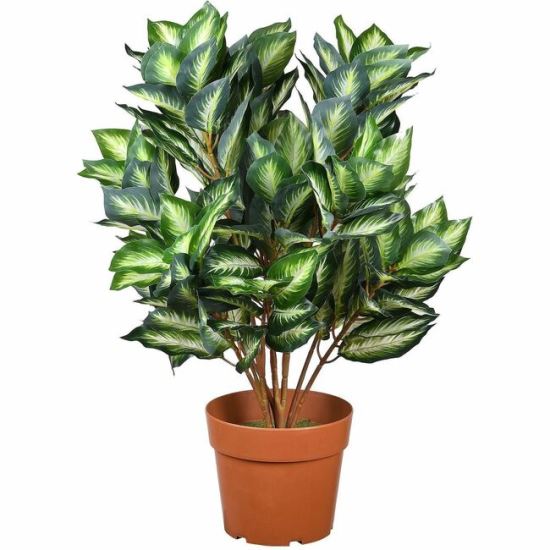 National Tree Hosta Topiary Plan 1