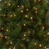 National Tree Winchester Pine Christmas Tree - Green 3