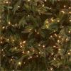 National Tree Christmas Tree - Green 5
