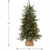 National Tree Everyday Christmas Tree - Green 6