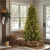 National Tree Tiffany Fir Christmas Tree - Green 2